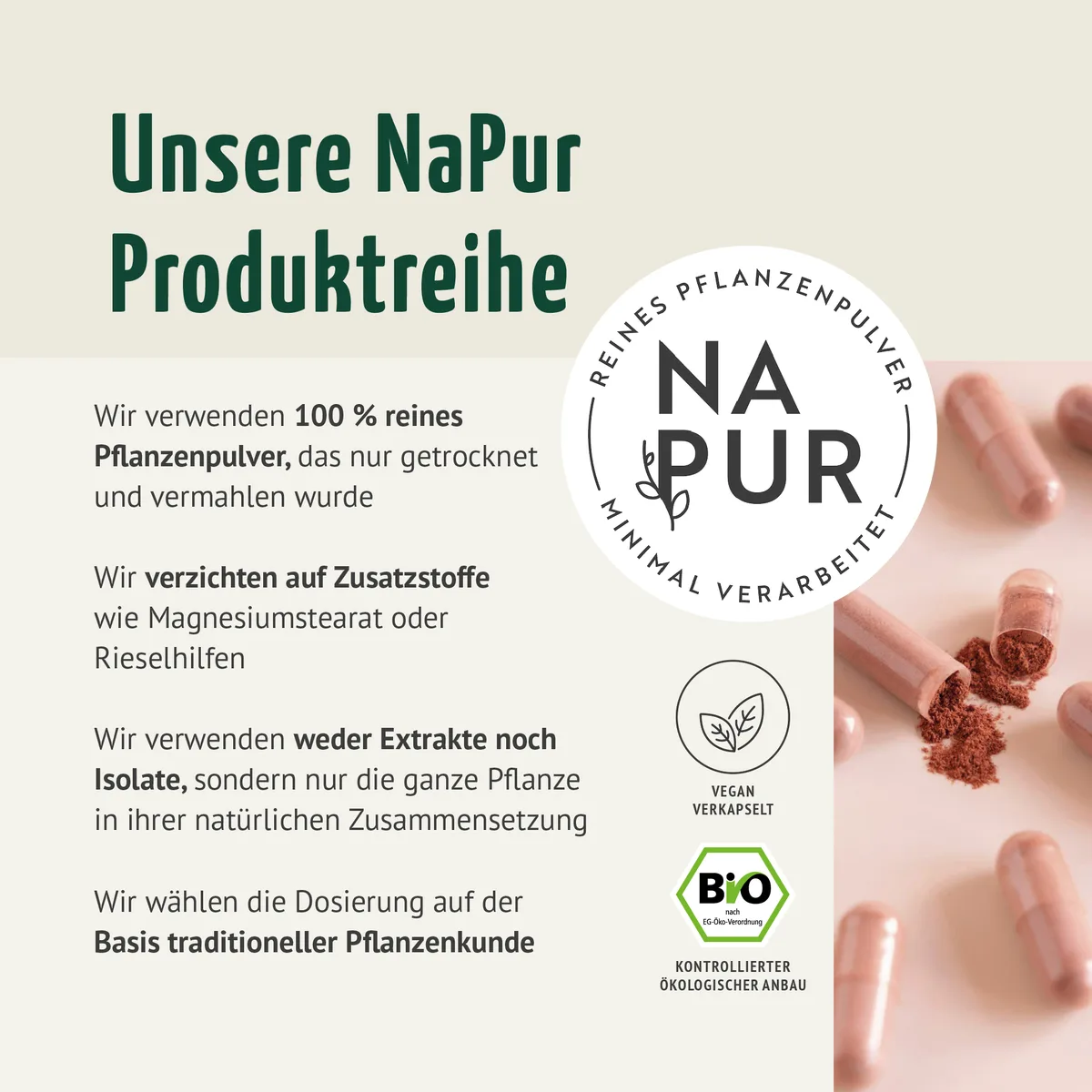 Bio Hagebutten Kapseln (180 Kapseln)