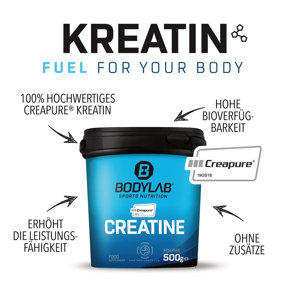 Creatine (Creapure®) (500g) – Bild 2