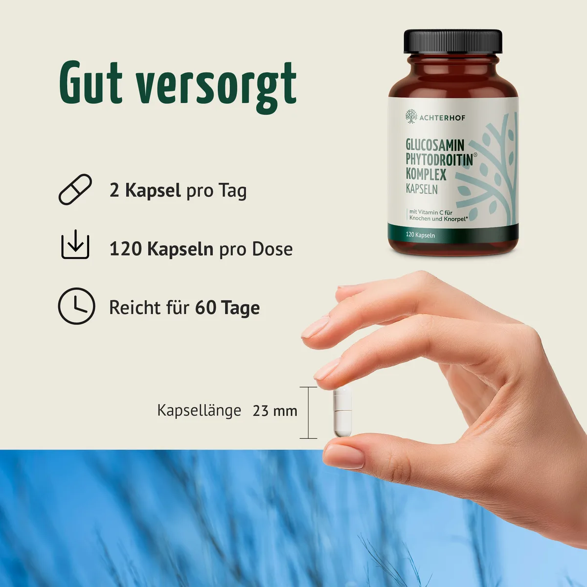 Glucosamin Phytodroitin® Komplex (120 Kapseln) – Bild 4
