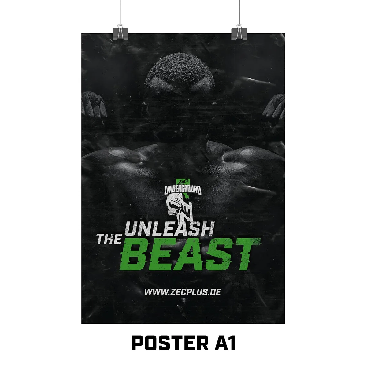 ZEC+ POSTER A1 / INLY – Bild 3