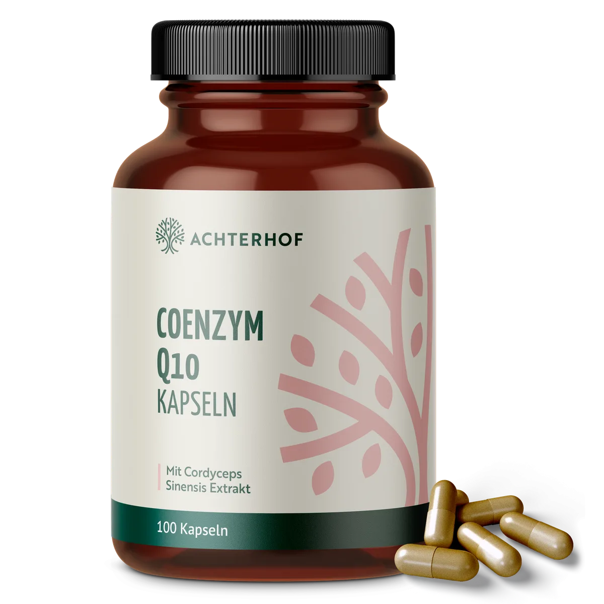 Coenzym Q10 Cordyceps (100 Kapseln)