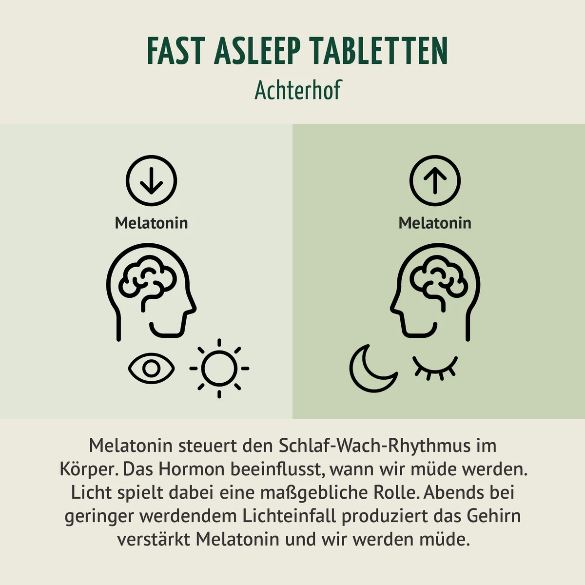 Melatonin Magnesium Komplex Fast Asleep (180 Tabletten) – Bild 4
