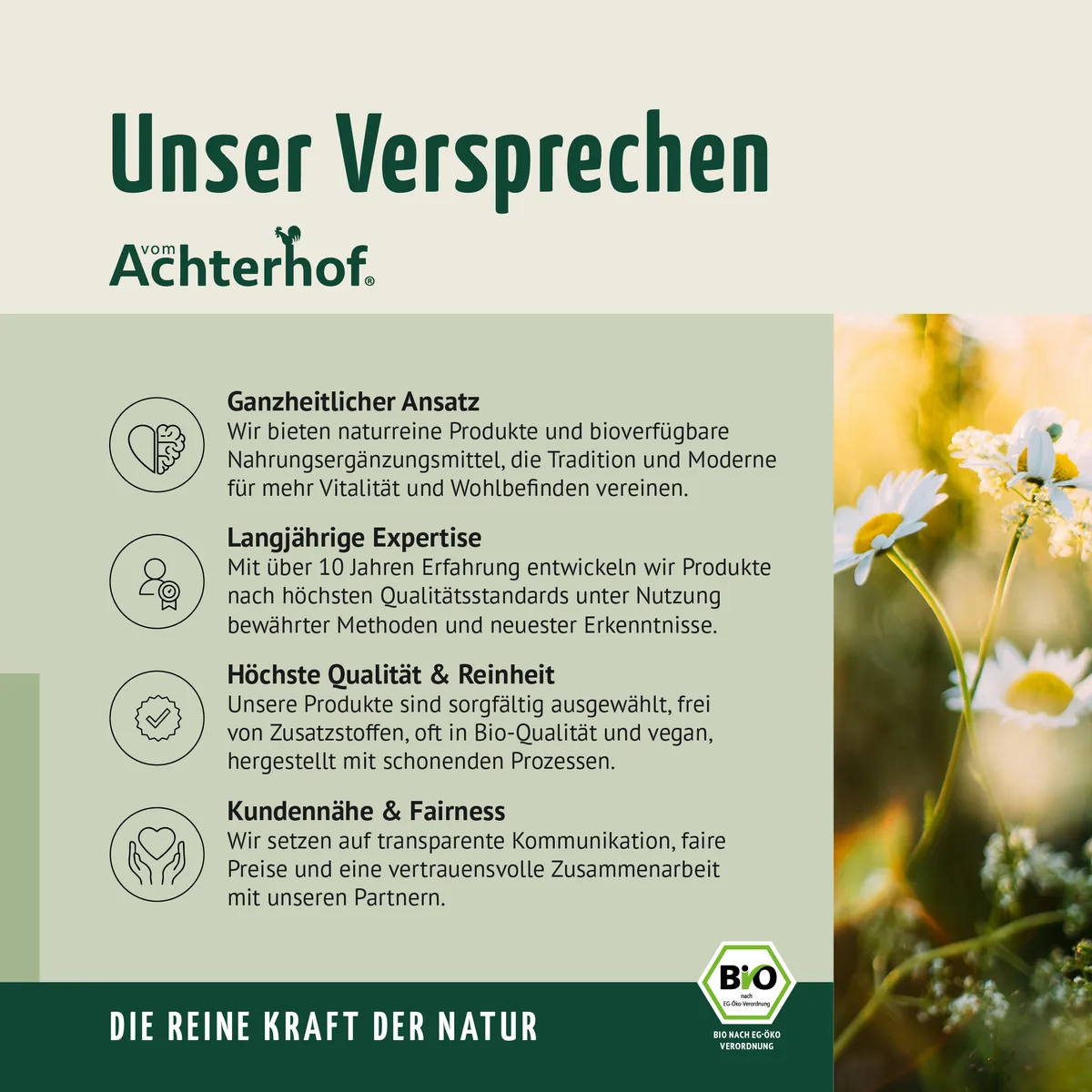 Bio Reishi Pilzpulver (100g) – Bild 8