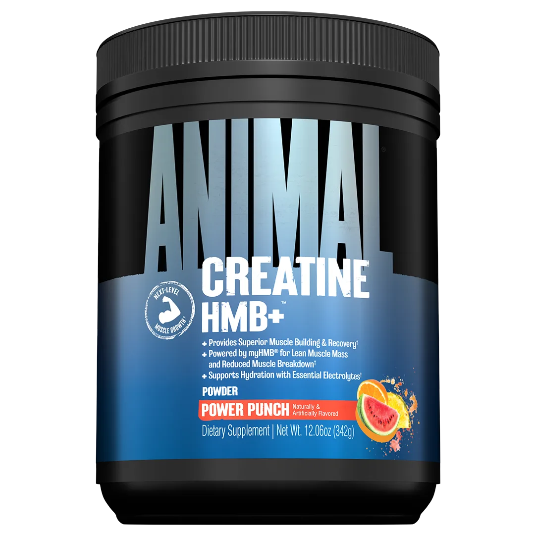 Animal Creatine HMB+ (330g) Dragon Berry – Bild 2