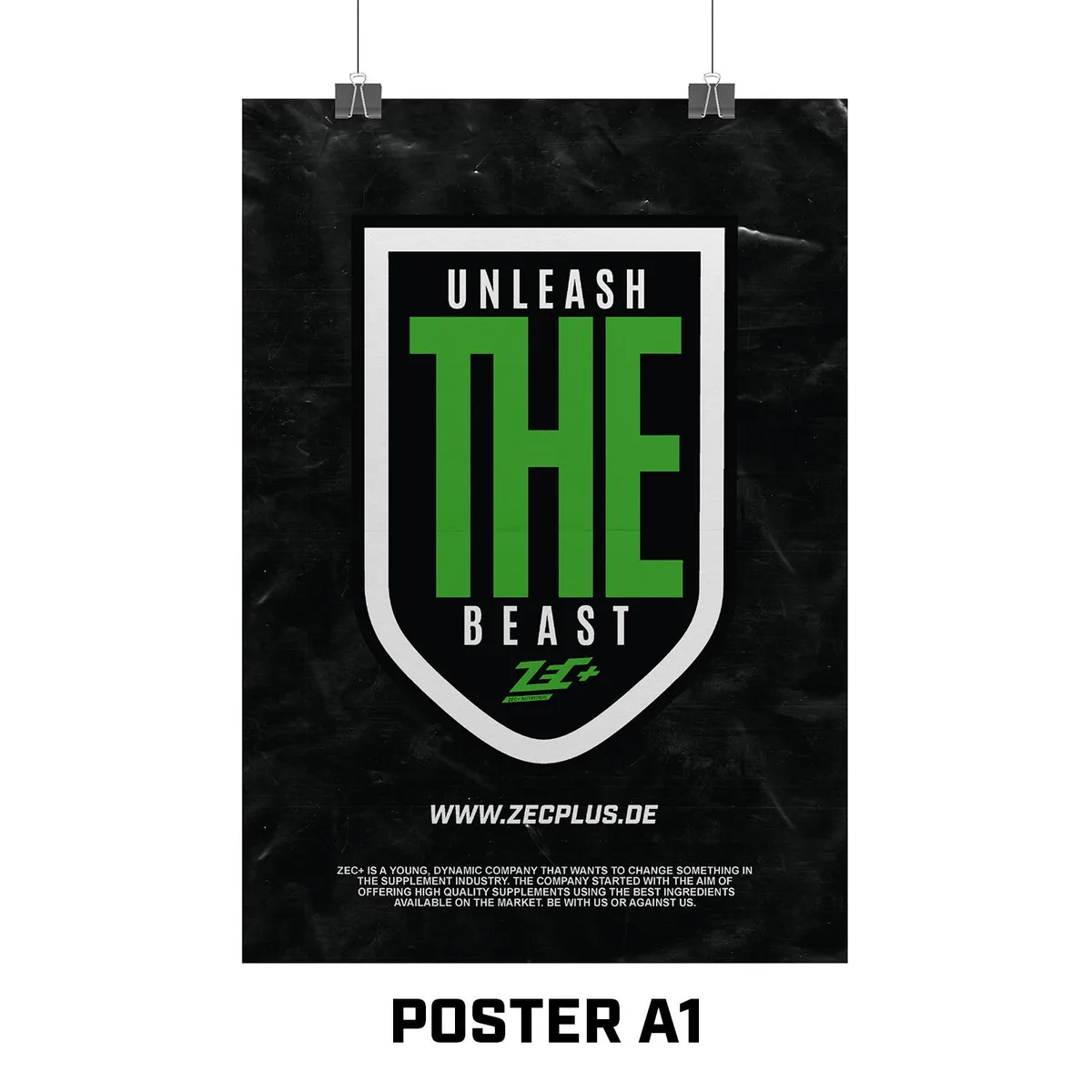 ZEC+ POSTER A1 / INLY – Bild 2
