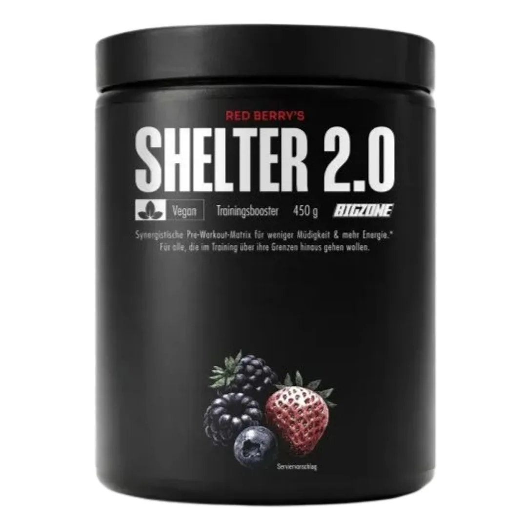 Big Zone Shelter 2.0, 450g