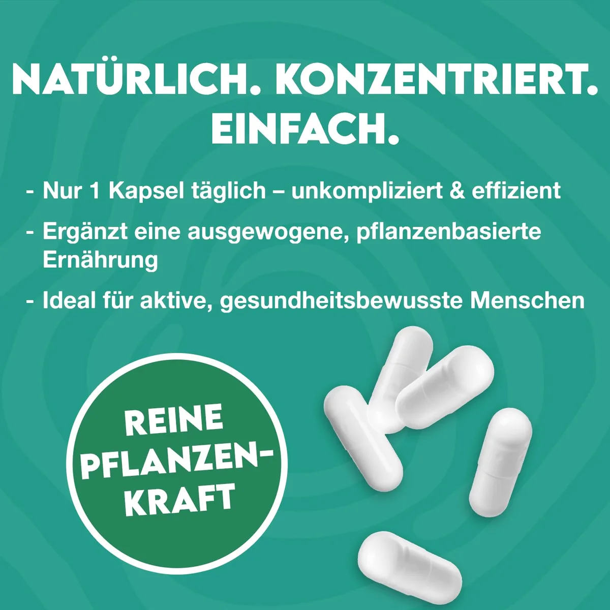 INLEAD - OPC Traubenkernextrakt | Hochdosiert mit 350 mg OPC pro Kapsel | 100% Pflanzlich & ohne Zusatzstoffe - 120 Kapseln – Bild 4