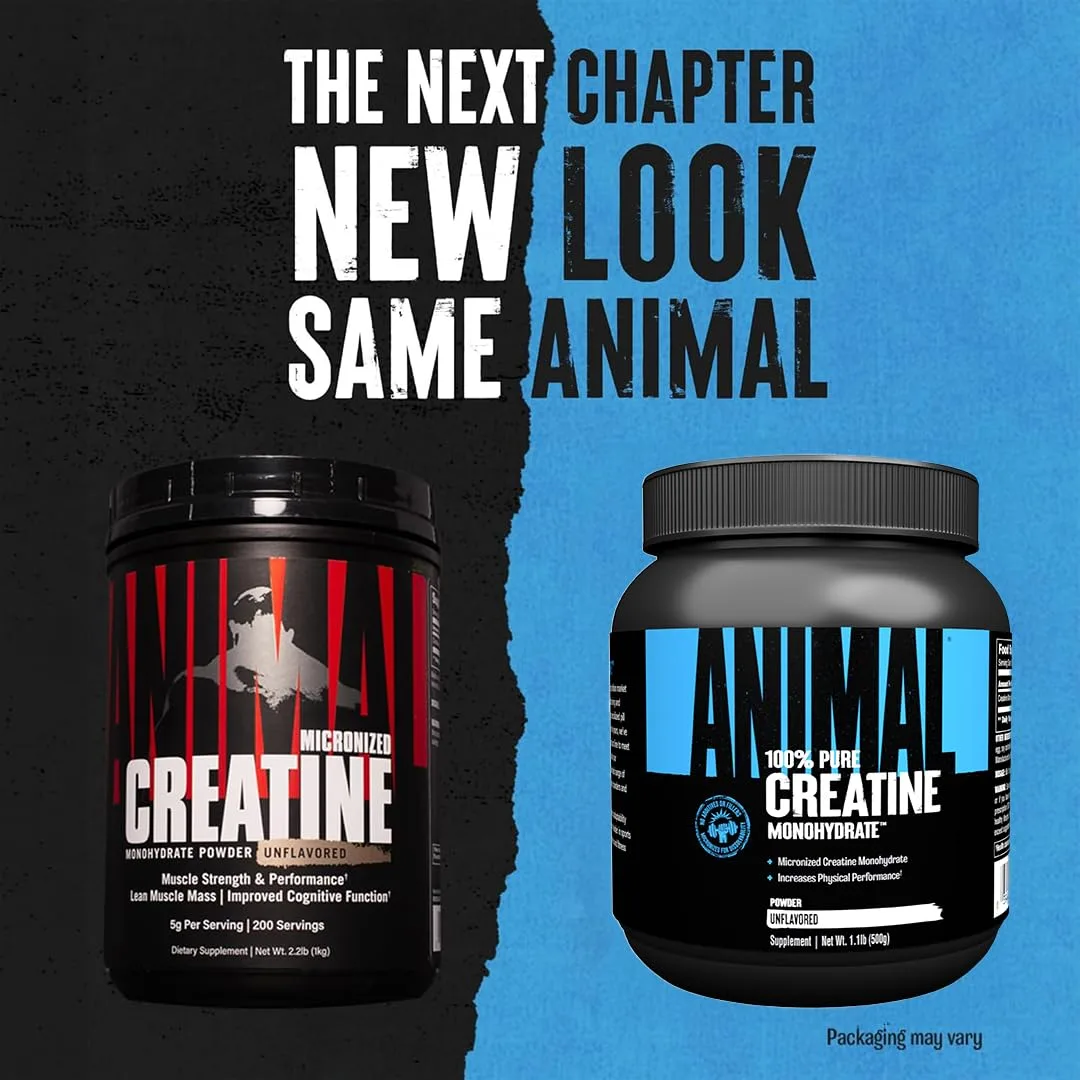 ANIMAL Pure Creatine Monohydrate – reines, mikronisiertes Kreatin Monohydrat Pulver – 5 g Kreatin pro Portion – leicht absorbierbar & geschmacksneutral – 500 g – Bild 4