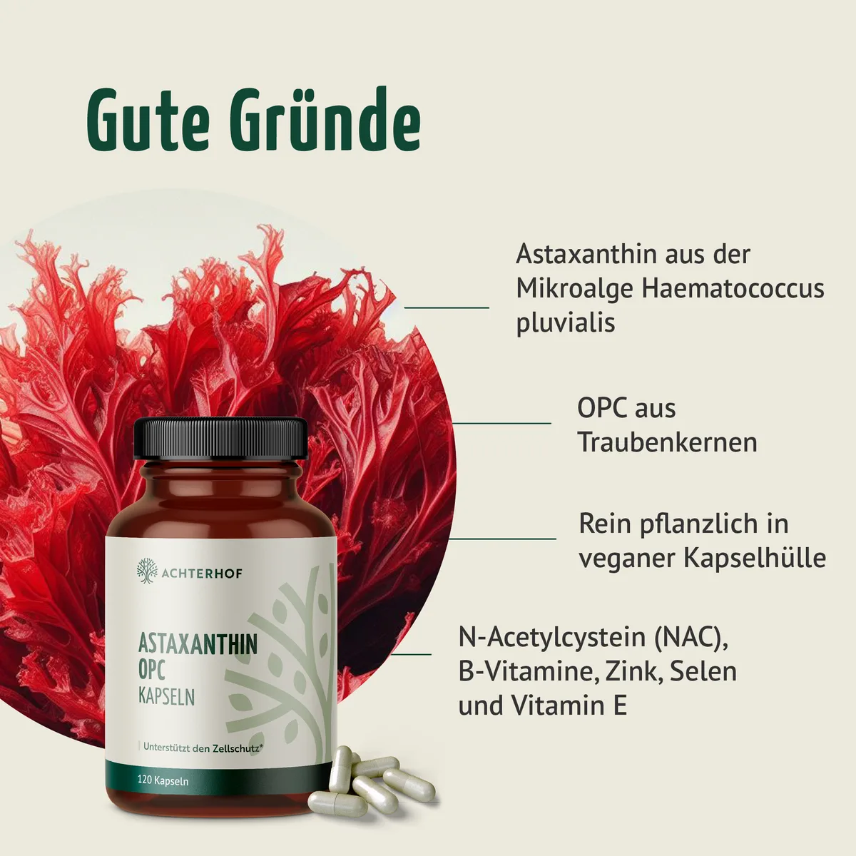 Astaxanthin OPC Zellschutz Kapseln (120 Kapseln) – Bild 2