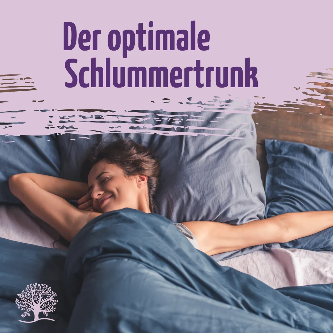Mond Milch Probierset Bio – Bild 5