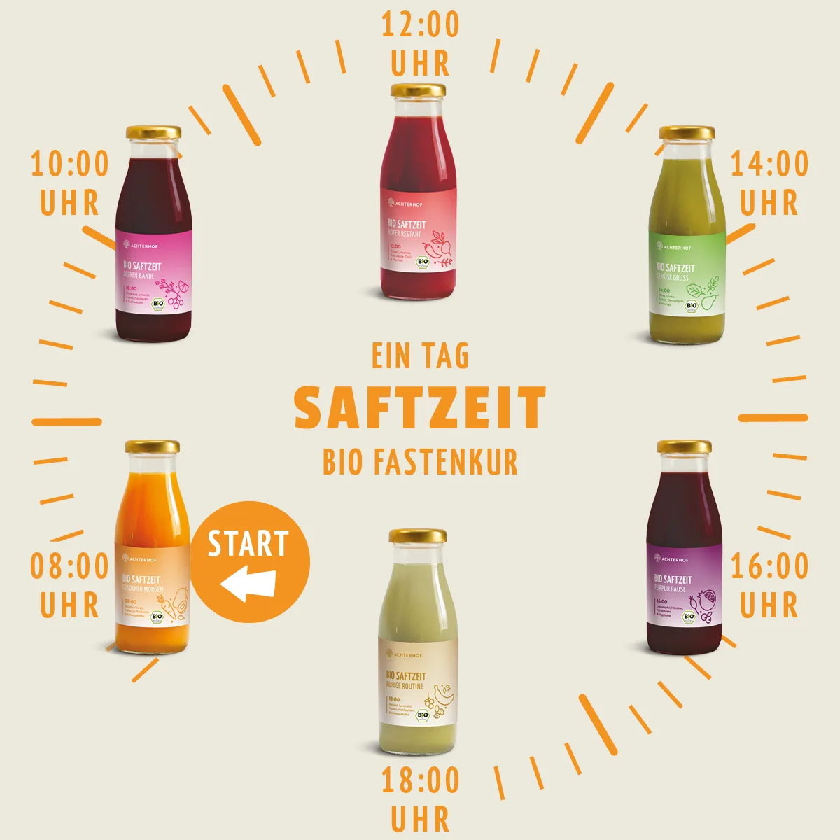 Fasten Mikronährstoff Paket – Bild 4