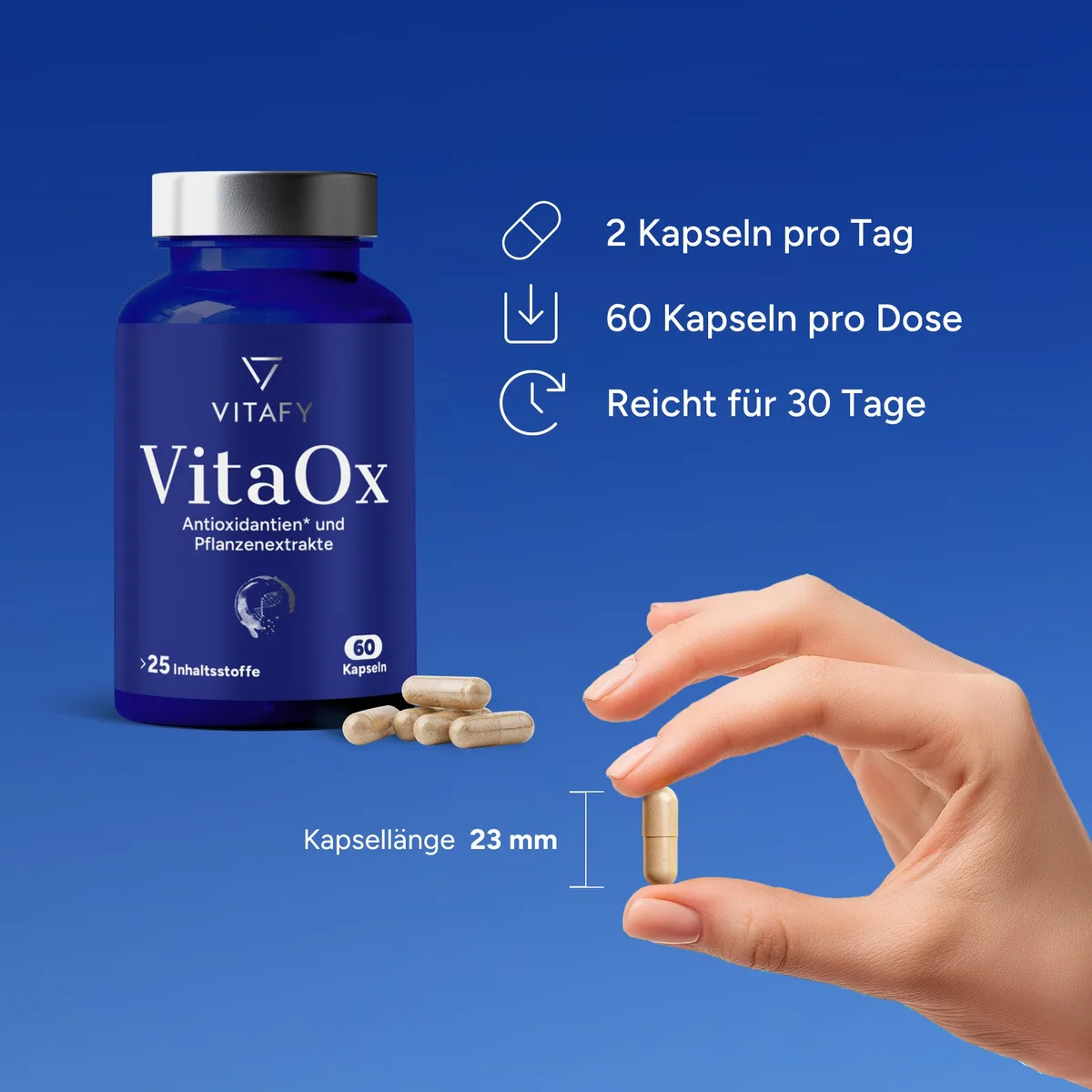 VitaOx Zellschutz Komplex (60 Kapseln) – Bild 5