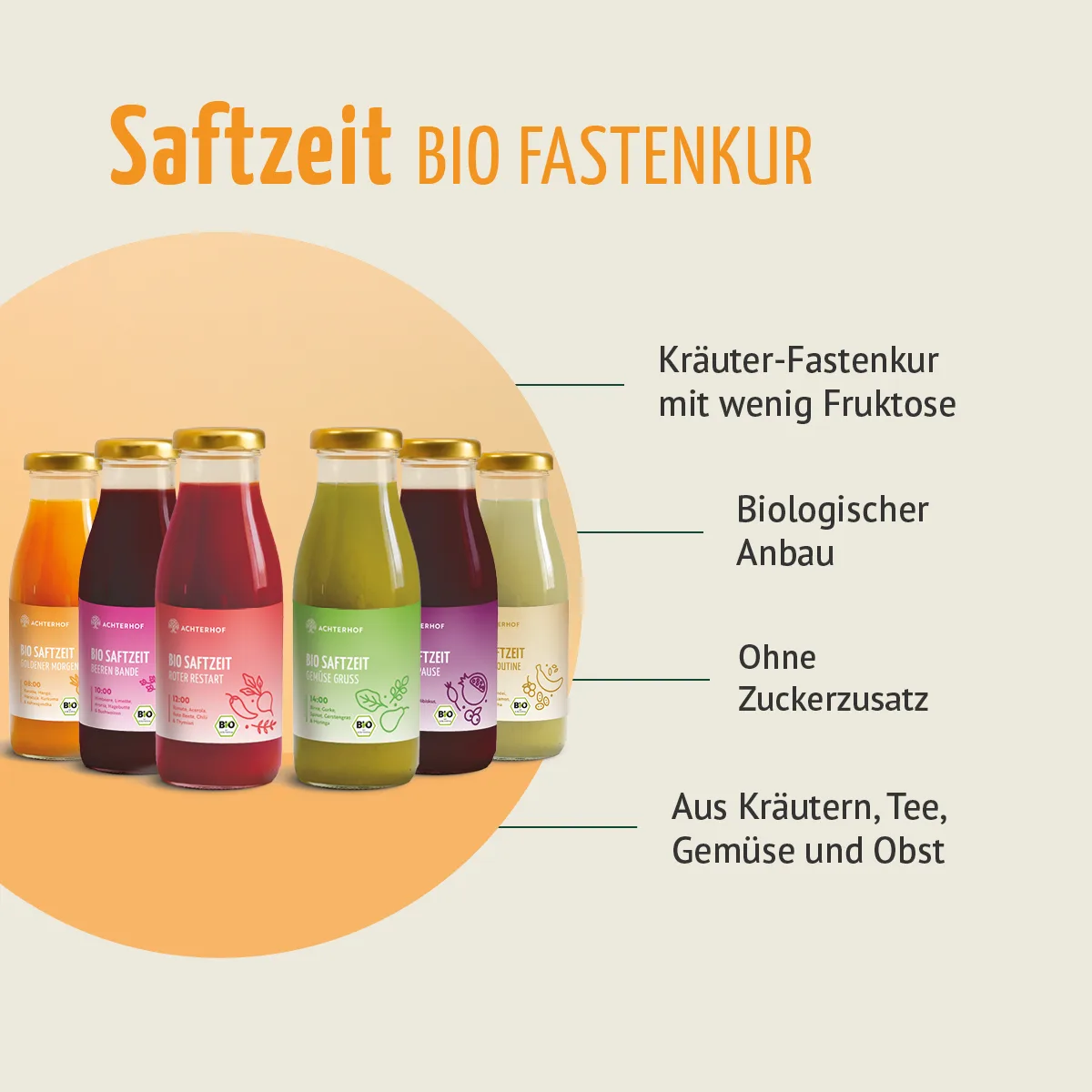 Fasten Mikronährstoff Paket – Bild 2