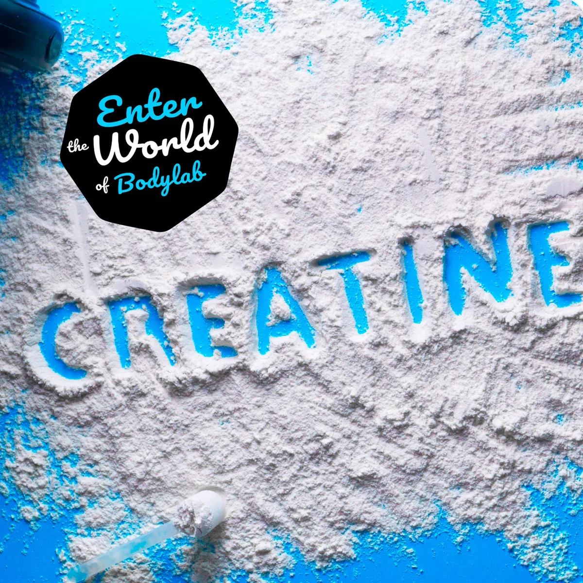 Creatine Powder (500g) – Bild 8
