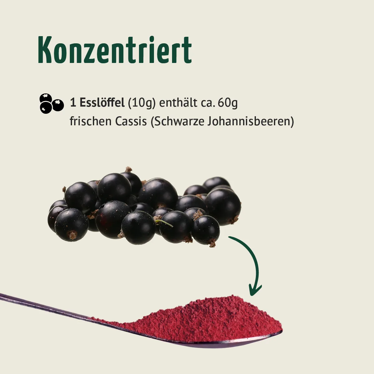 Bio Cassis Fruchtpulver (100g) – Bild 6