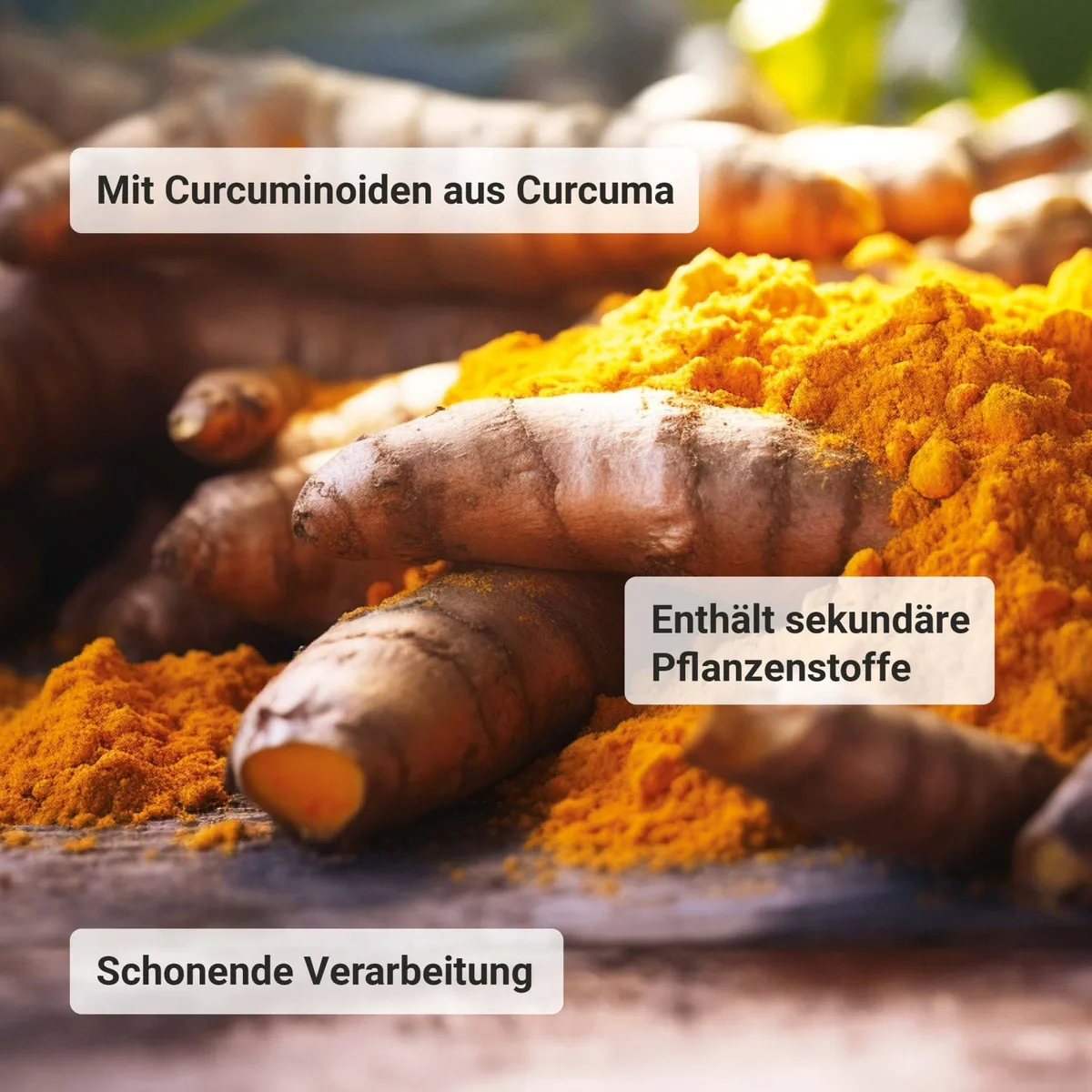 Curcuma Extrakt bio (90 Kapseln) – Bild 4
