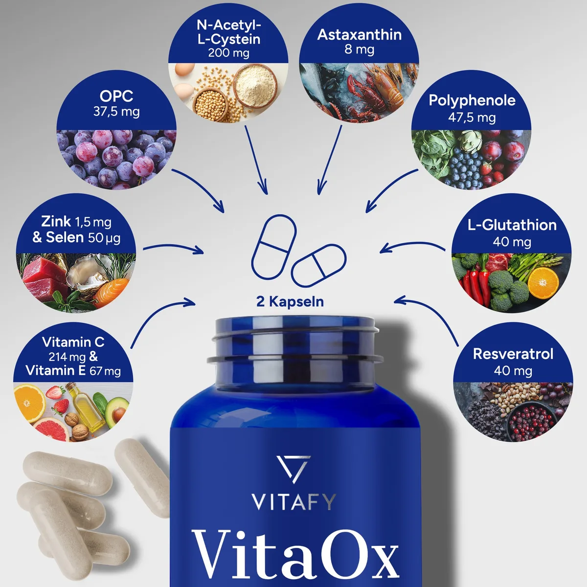 VitaOx Zellschutz Komplex (60 Kapseln) – Bild 4
