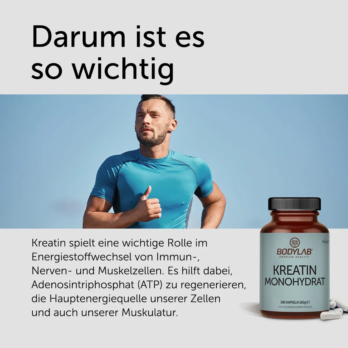 Kreatin Monohydrat (180 Kapseln) – Bild 4
