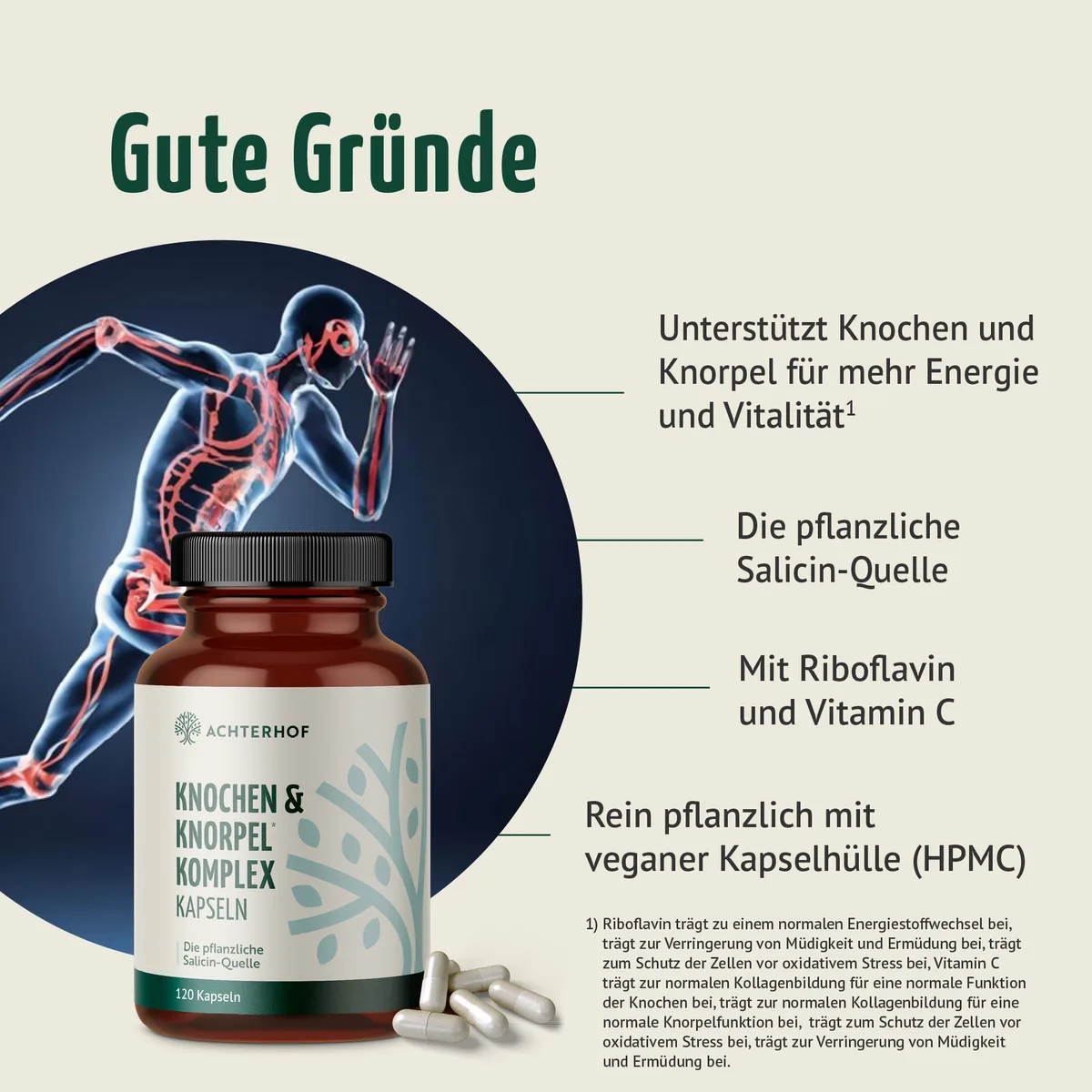 Knochen & Knorpel Komplex (120 Kapseln) – Bild 2