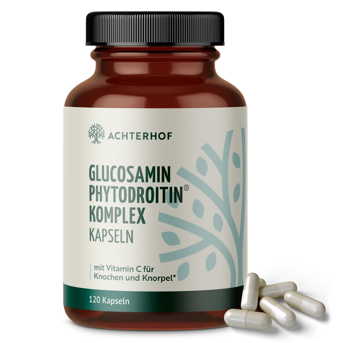 Glucosamin Phytodroitin® Komplex (120 Kapseln)