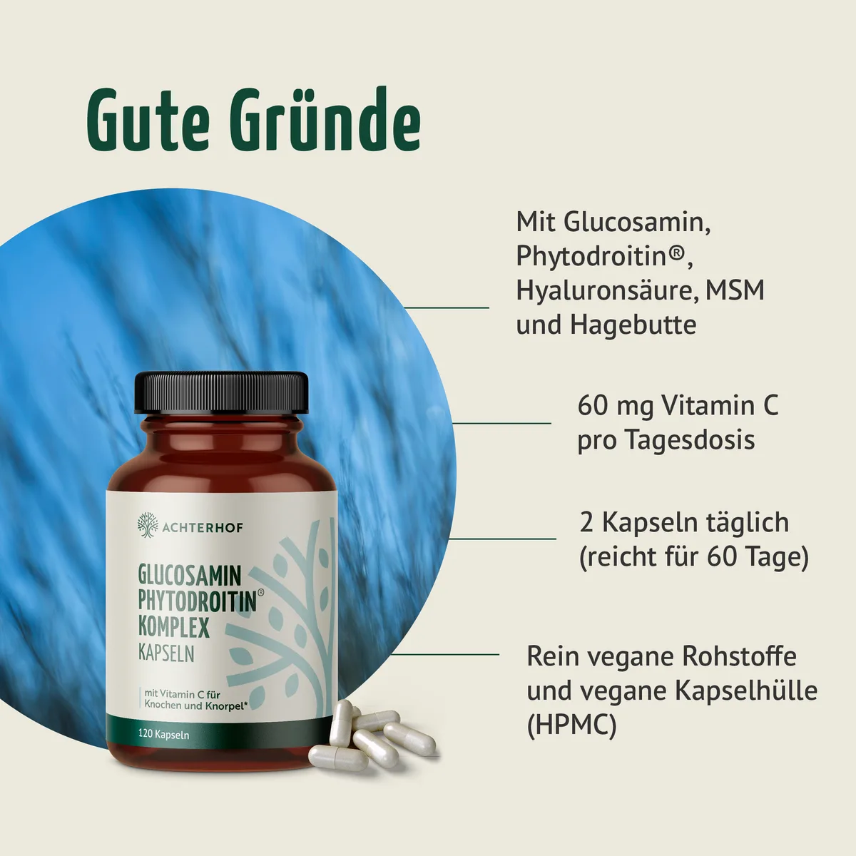 Glucosamin Phytodroitin® Komplex (120 Kapseln) – Bild 2