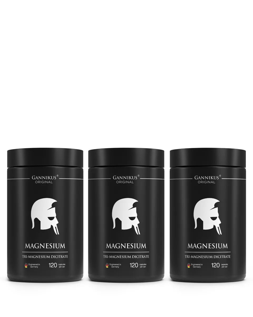 MAGNESIUM - 120 Kapseln
