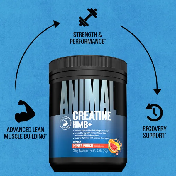 Animal Creatine HMB+ (330g) Dragon Berry – Bild 6