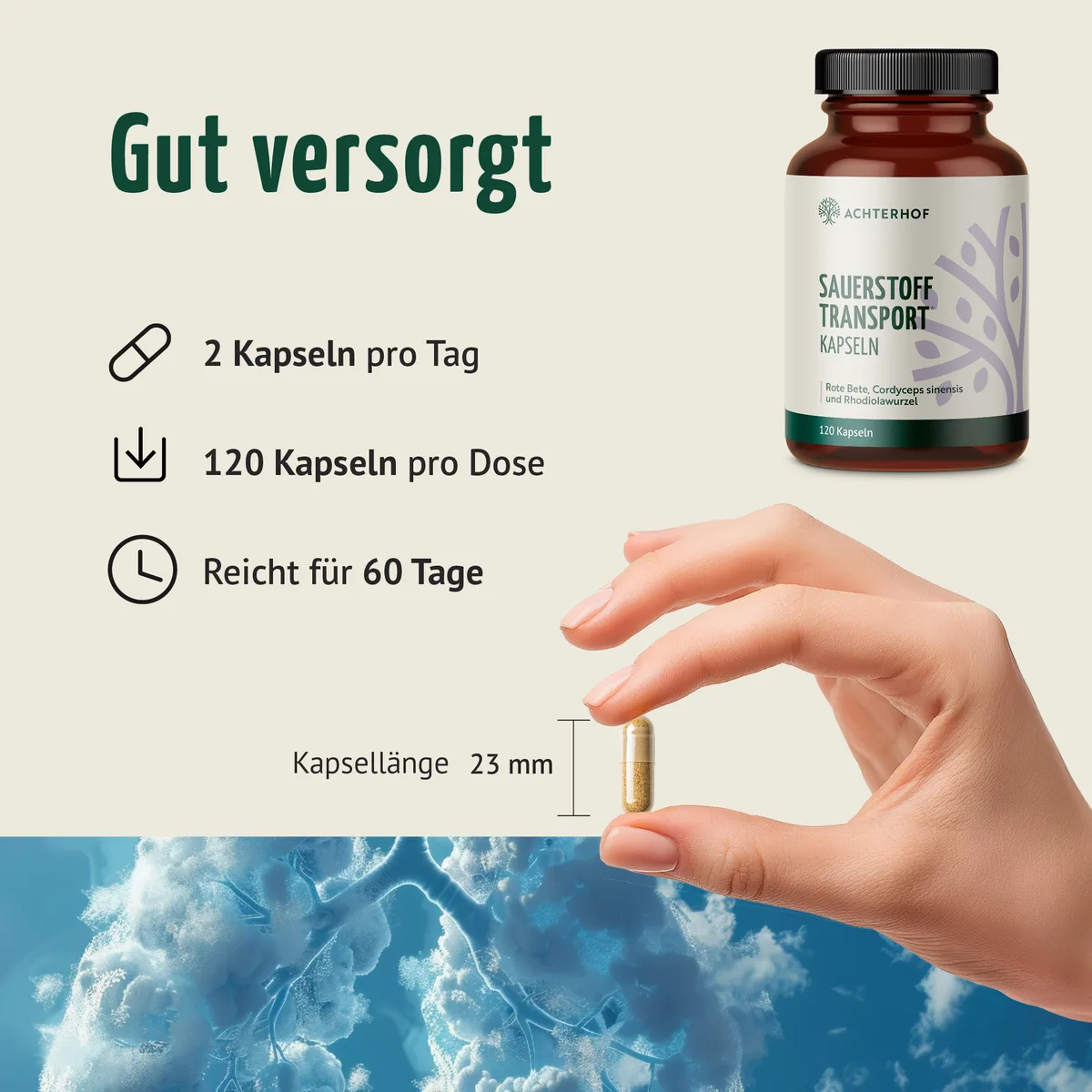 Sauerstoff Transport Kapseln (120 Kapseln) – Bild 4