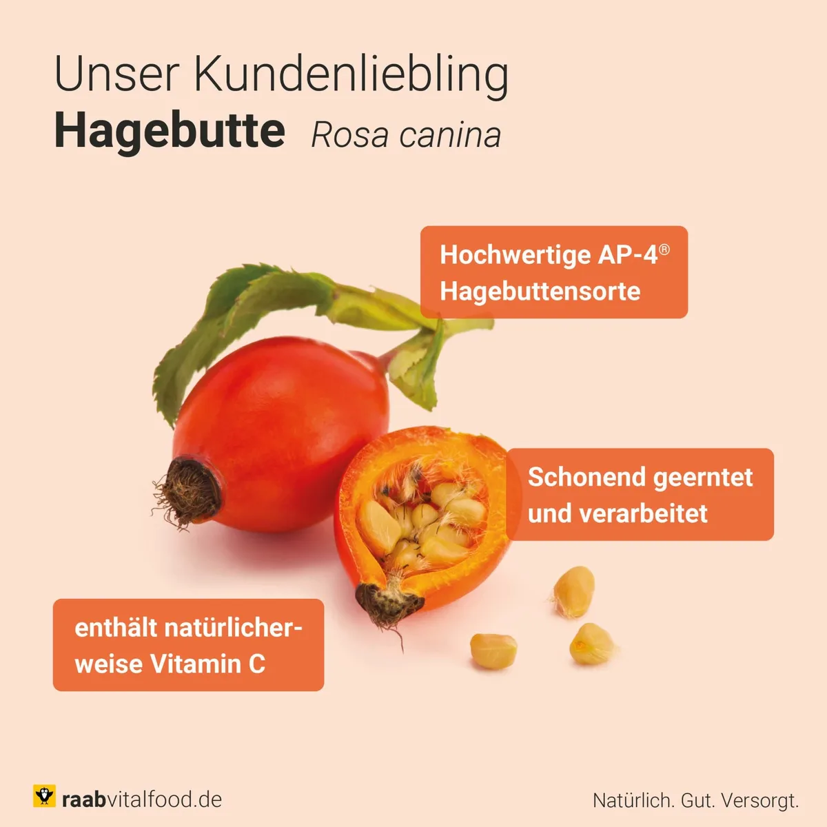 Hagebutte bio (150 Kapseln) – Bild 6