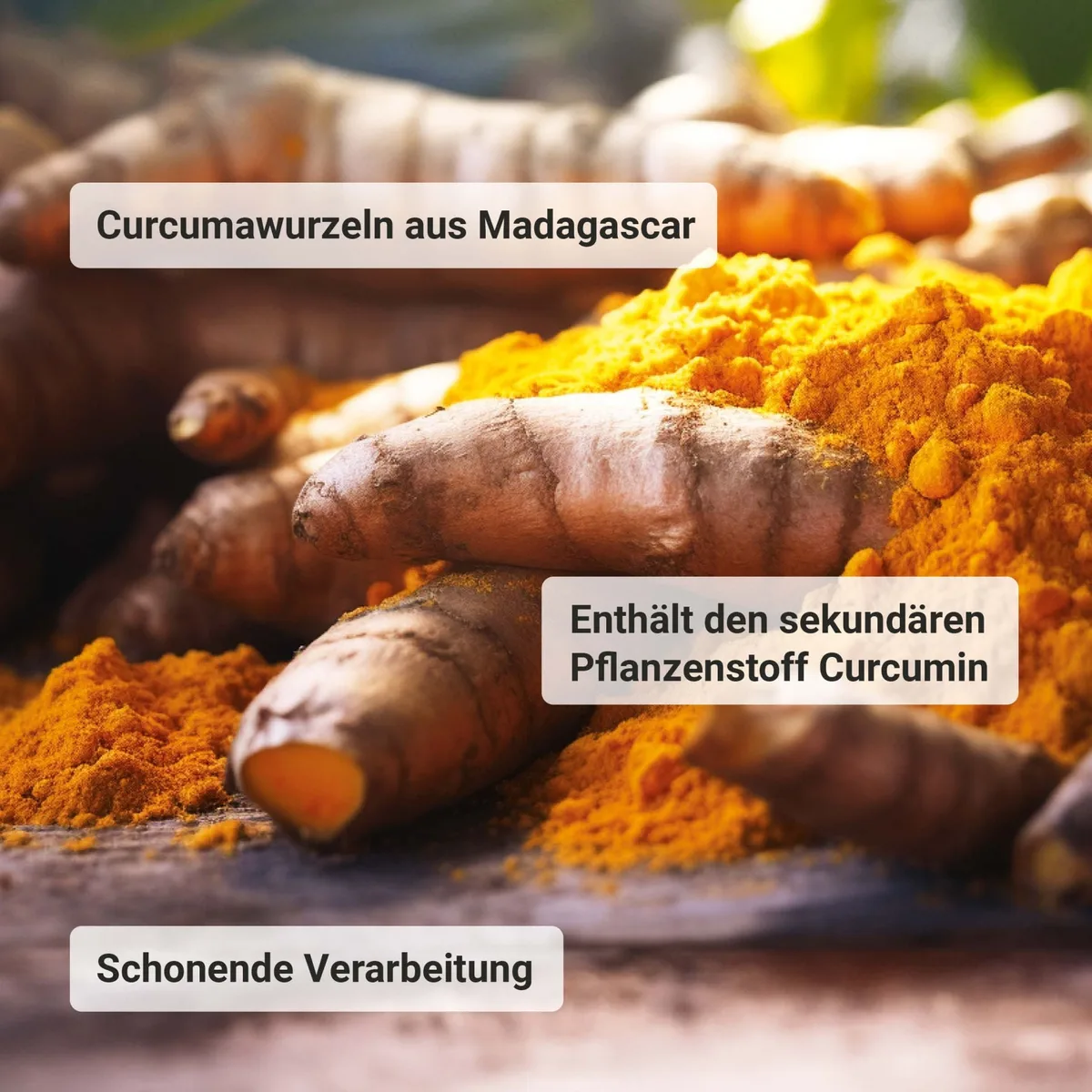 Bio Curcuma (300 Tabletten) – Bild 5