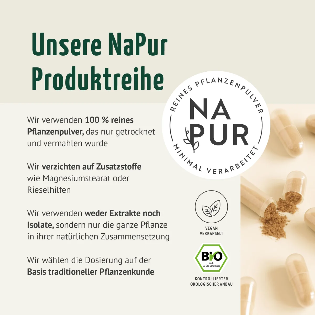 Bio Ingwer Kapseln Nachfüllpack (400 Kapseln) – Bild 2