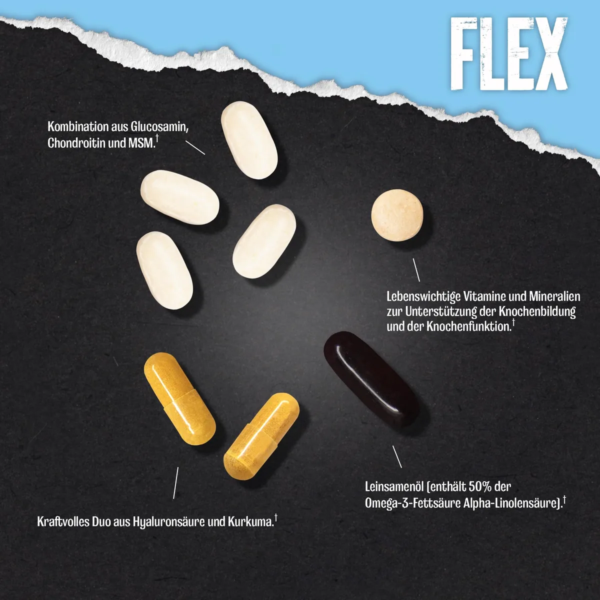 ANIMAL Flex Comprehensive Joint Care - 4 einzigartige Komplexe für Gelenke, Knochen & Knorpel - mit Vitamin A & E, Glucosamin, Leinsamenöl & Hyaluronsäure - 44 Packungen – Bild 5