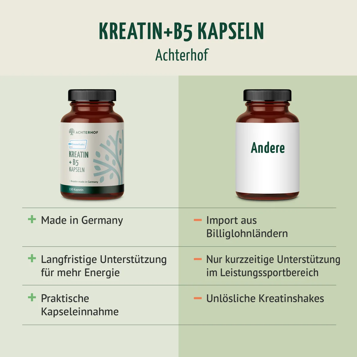 Creavitalis® Kreatin+B5 Kapseln (150 Kapseln) – Bild 5