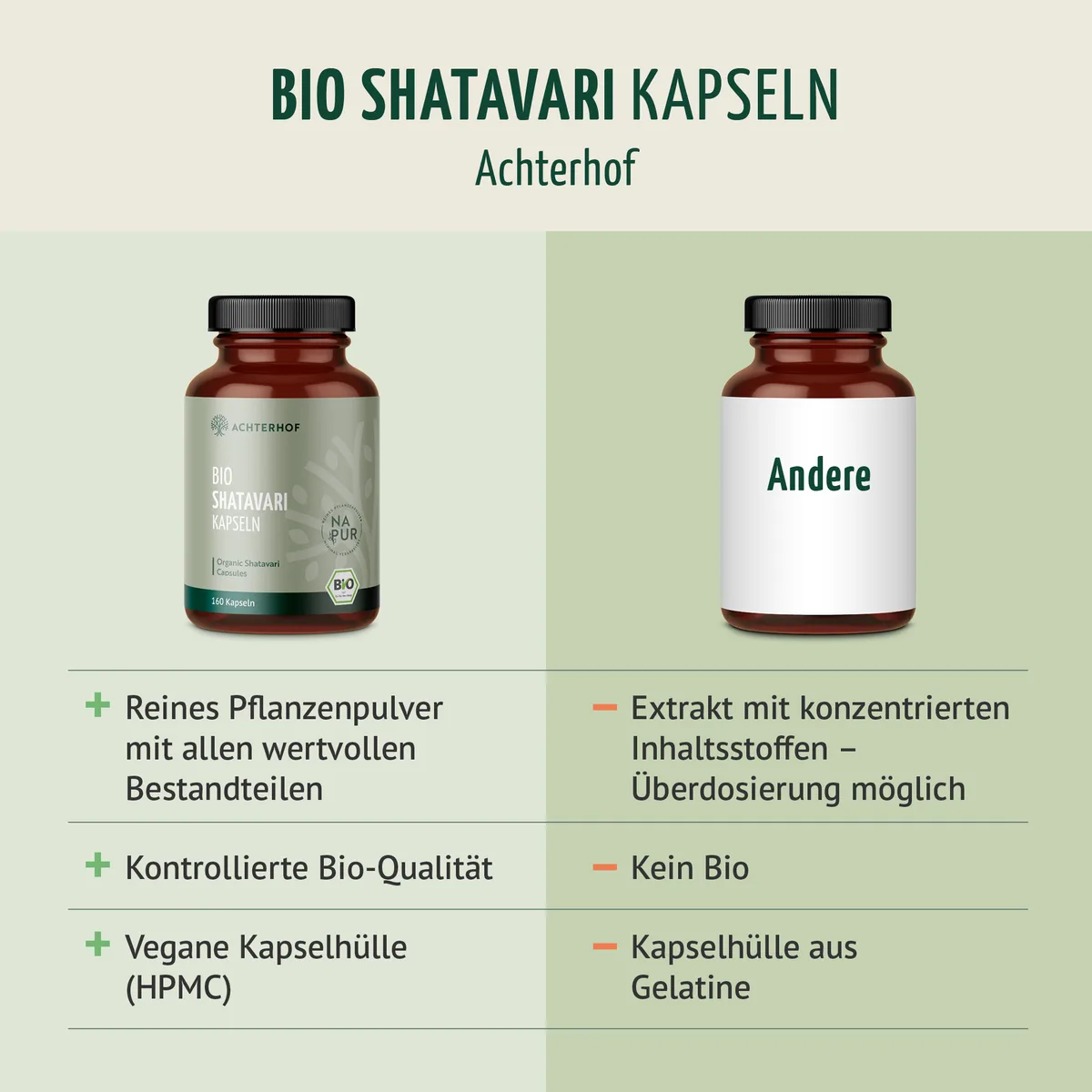 Shatavari Kapseln Bio (160 Kapseln) – Bild 6