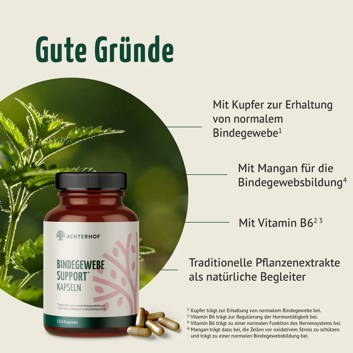 Bindegewebe Support Kapseln (150 Kapseln) – Bild 2