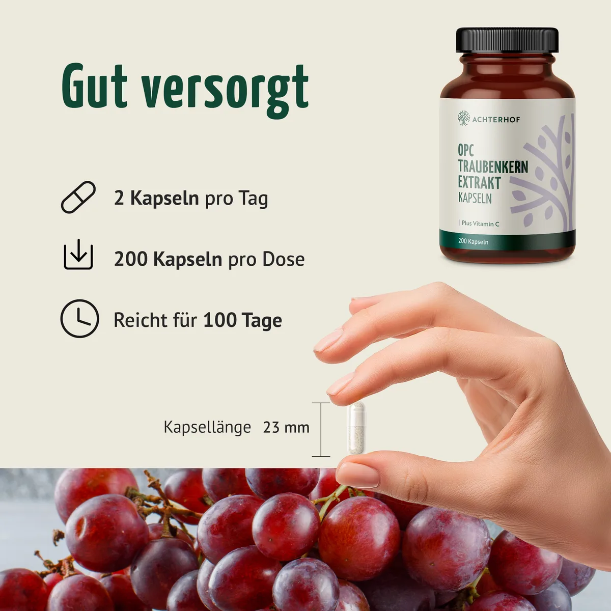 OPC Traubenkernextrakt + Vitamin C Kapseln (200 Kapseln) – Bild 4