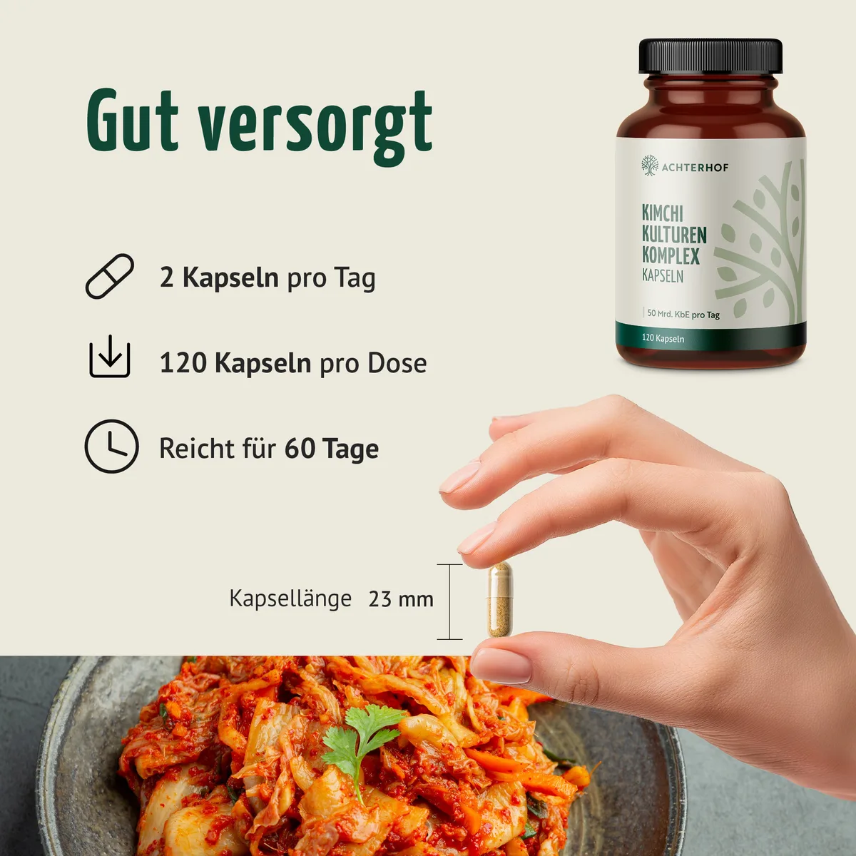 Kimchi Kulturen Komplex (120 Kapseln) – Bild 4
