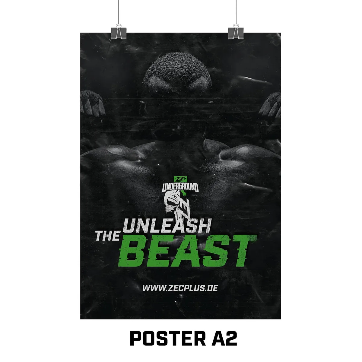 ZEC+ POSTER A1 / INLY – Bild 7