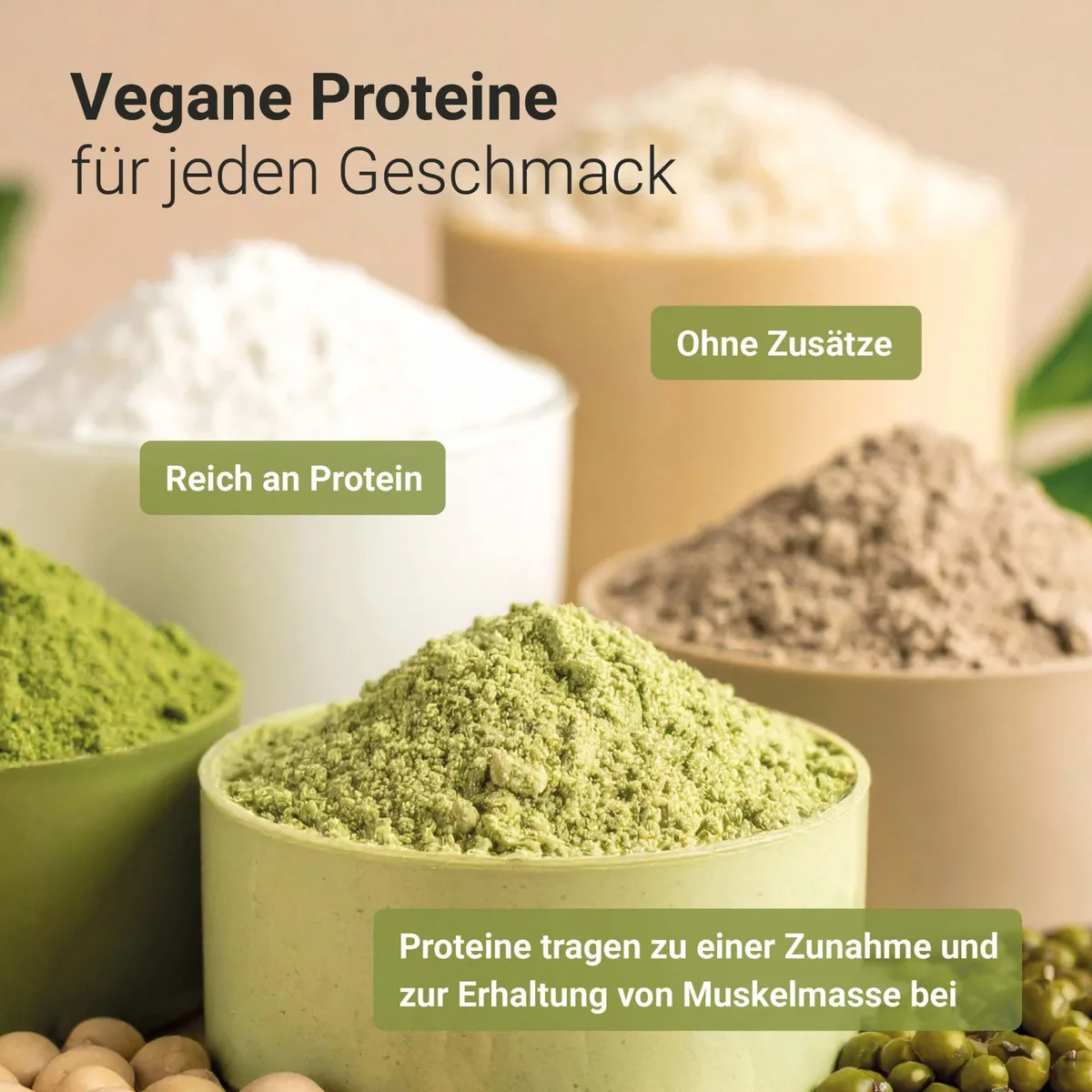 Bio Protein Shake Pure (500g) – Bild 5
