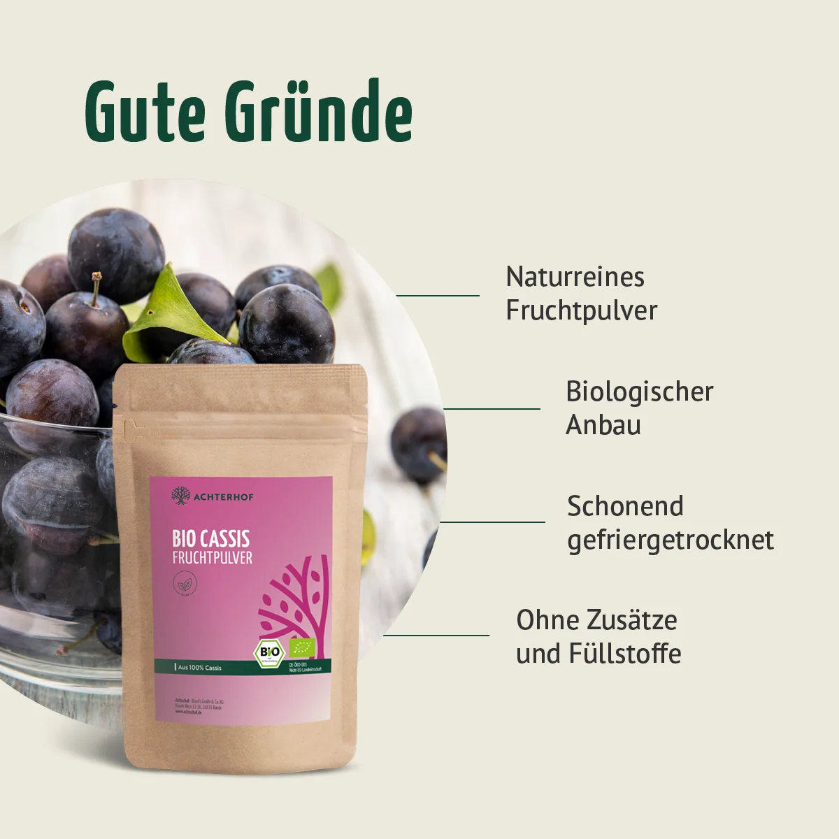 Bio Cassis Fruchtpulver (100g) – Bild 5