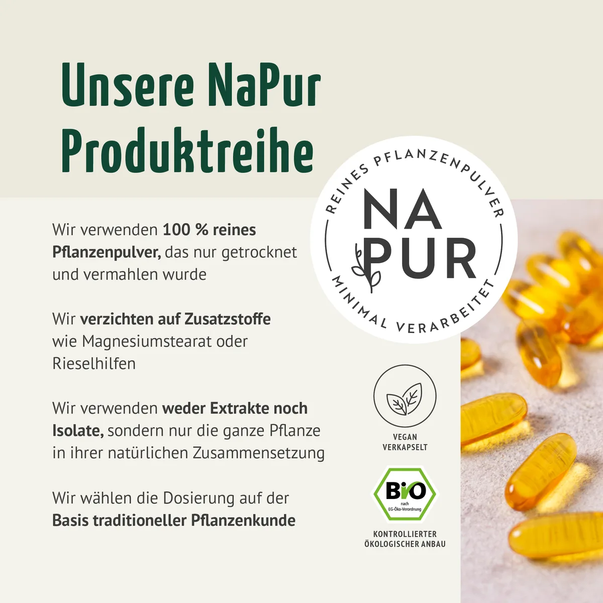 Bio Schwarzkümmel-Öl Kapseln (400 Kapseln) – Bild 2