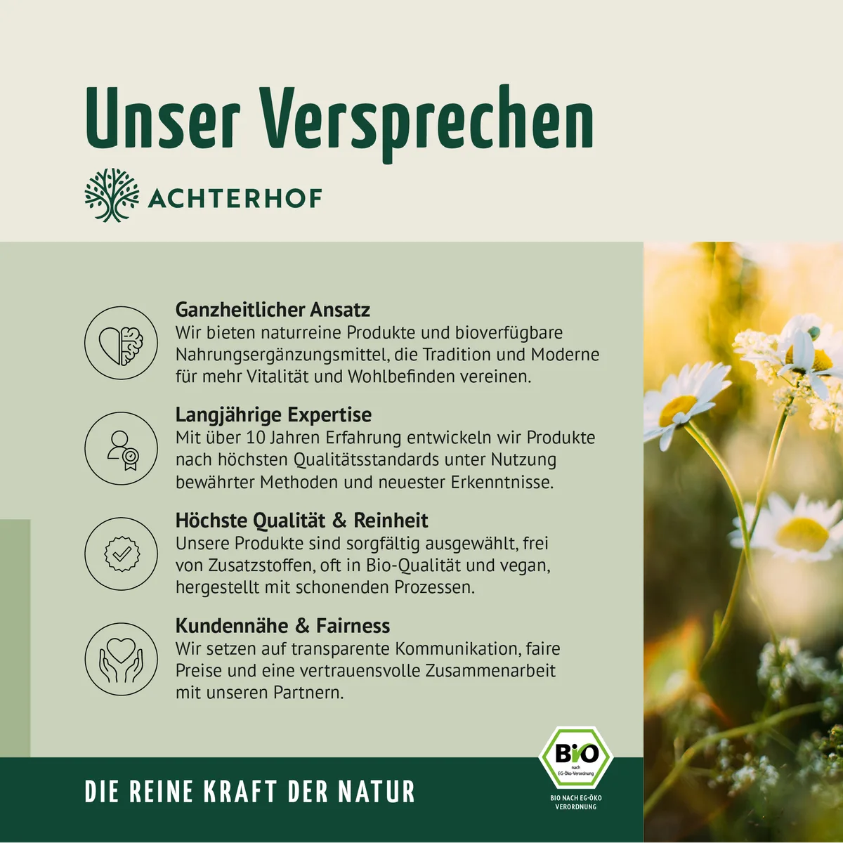 Bio Bitter Kräutermischung gemahlen (100g) – Bild 7