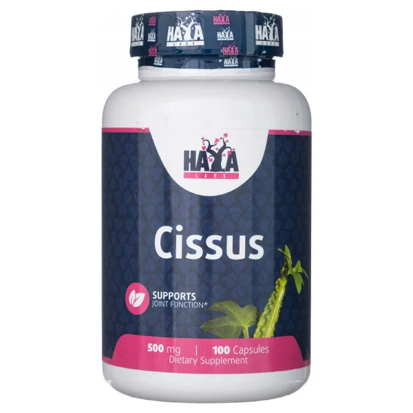 Haya Labs Cissus – 100 Kapseln mit 500 mg Extrakt
