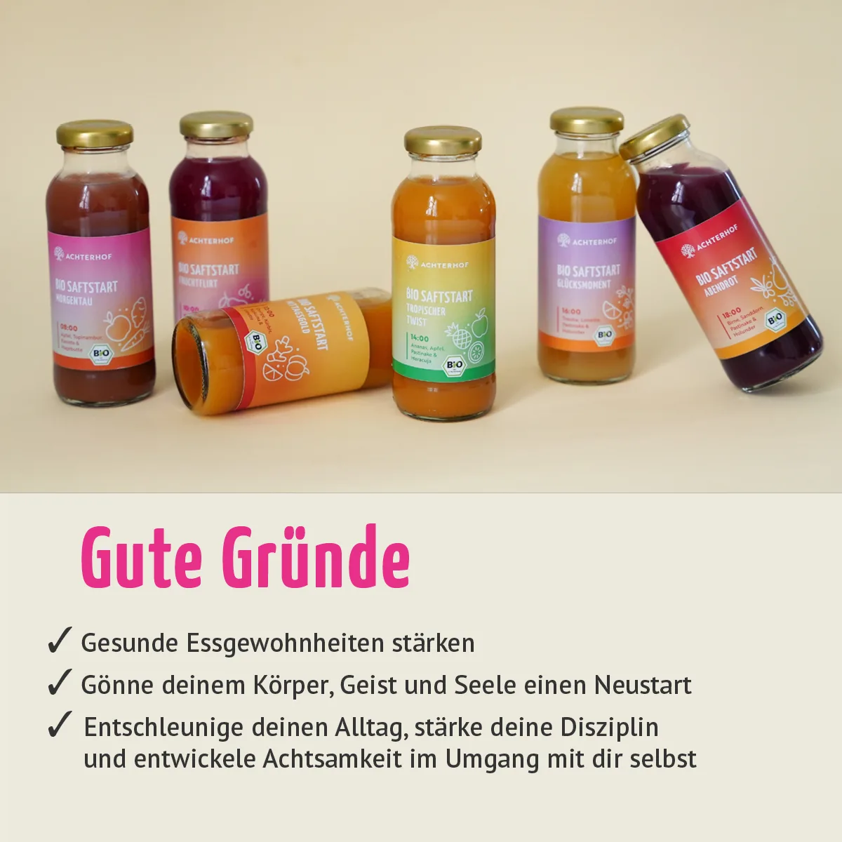 Saftstart Bio Fastenkur 1-7 Tage (6 Flaschen pro Tag) – Bild 6