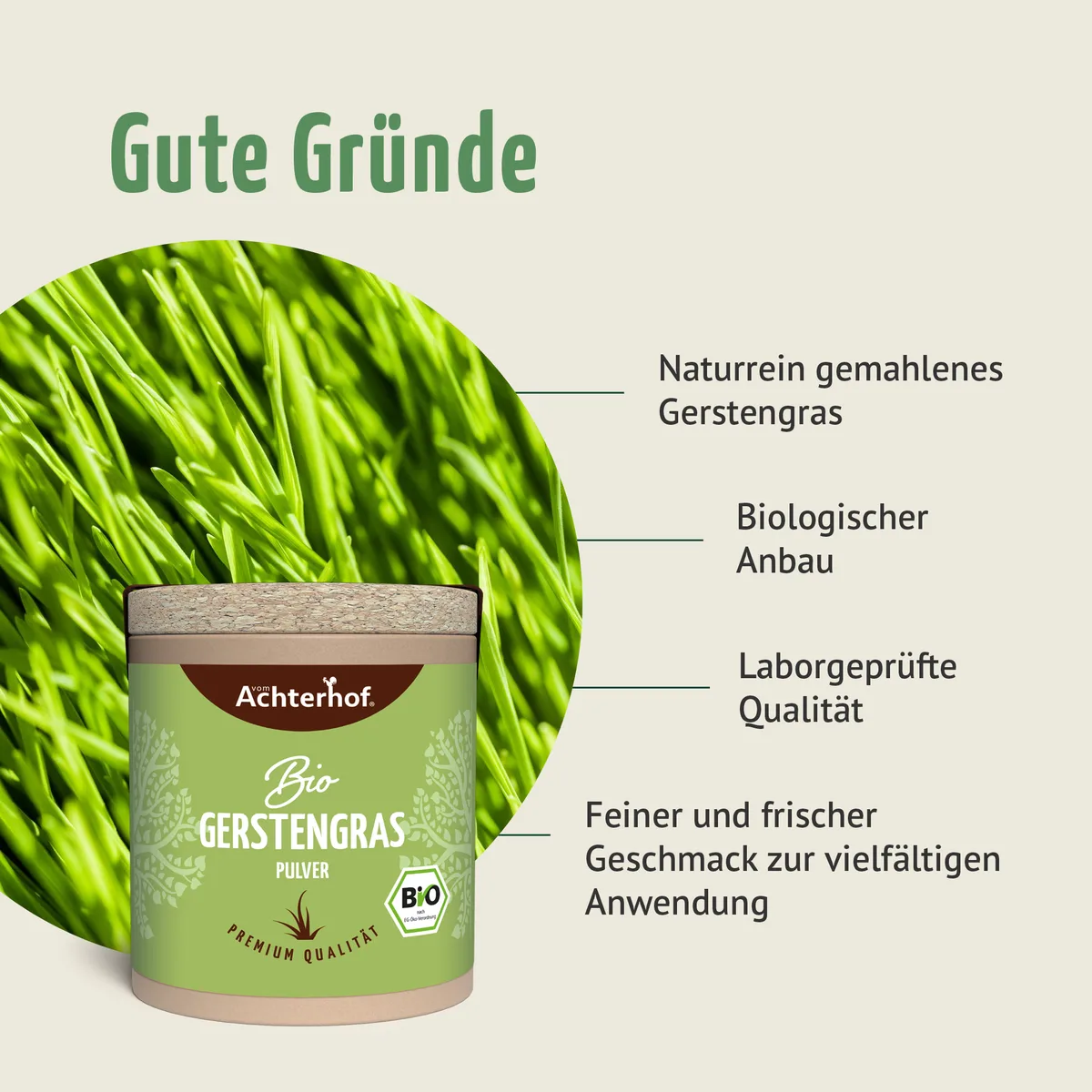Bio Gerstengras Pulver (40g) – Bild 4