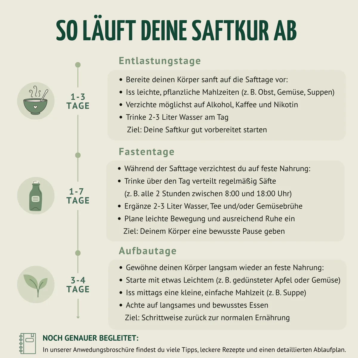 Kräuterwunder Bio Fastenkur 1-7 Tage (6 Flaschen pro Tag) – Bild 4