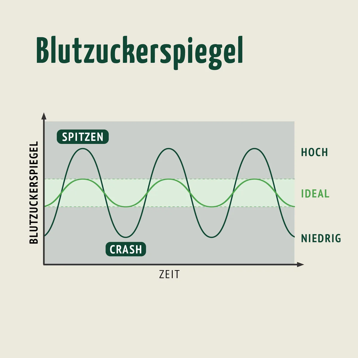 Blutzucker Komplex (120 Kapseln) – Bild 4