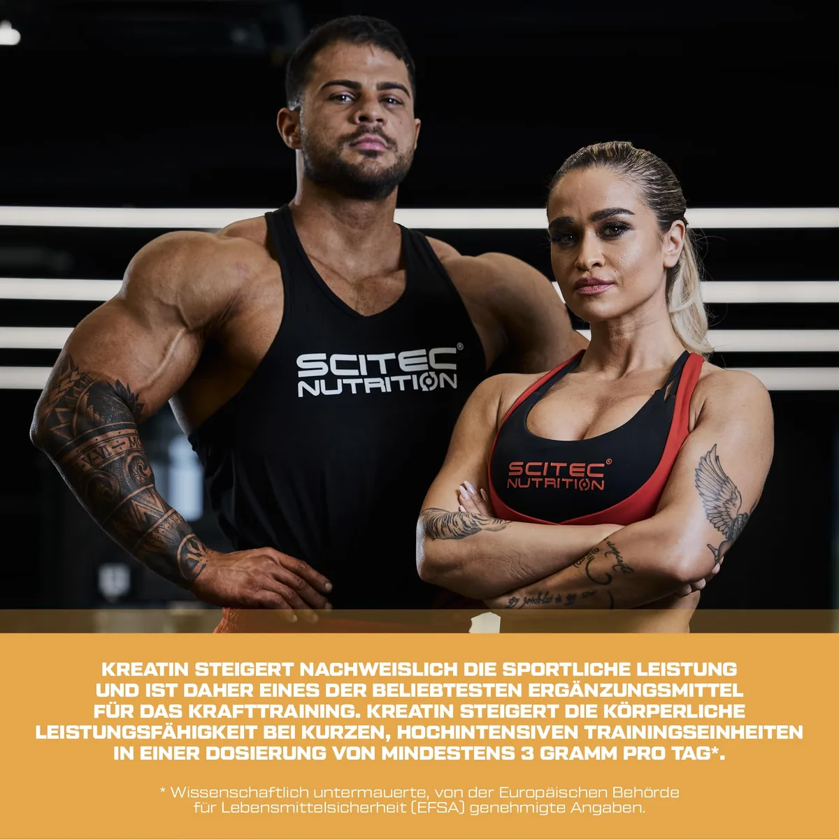 Scitec Nutrition Mega Creatine Monohydrate 1320, Nahrungsergänzungsmittel Kapseln mit Creapure® Kreatin-Monohydrat, 120 Megakapseln – Bild 3