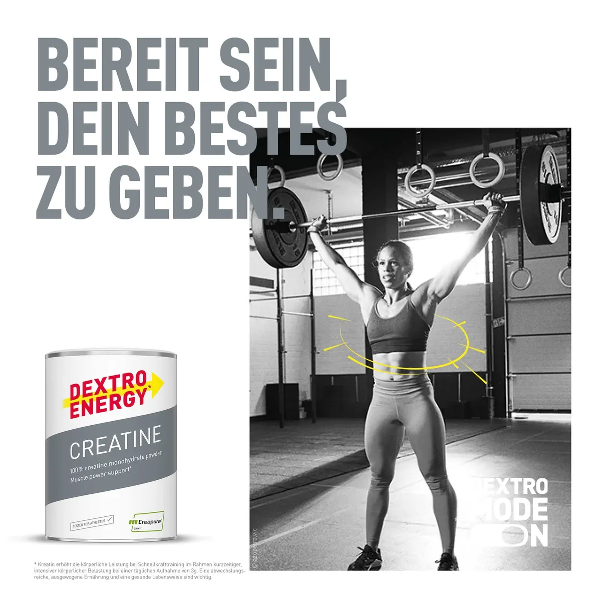 Creatine Creapure (500g) – Bild 4