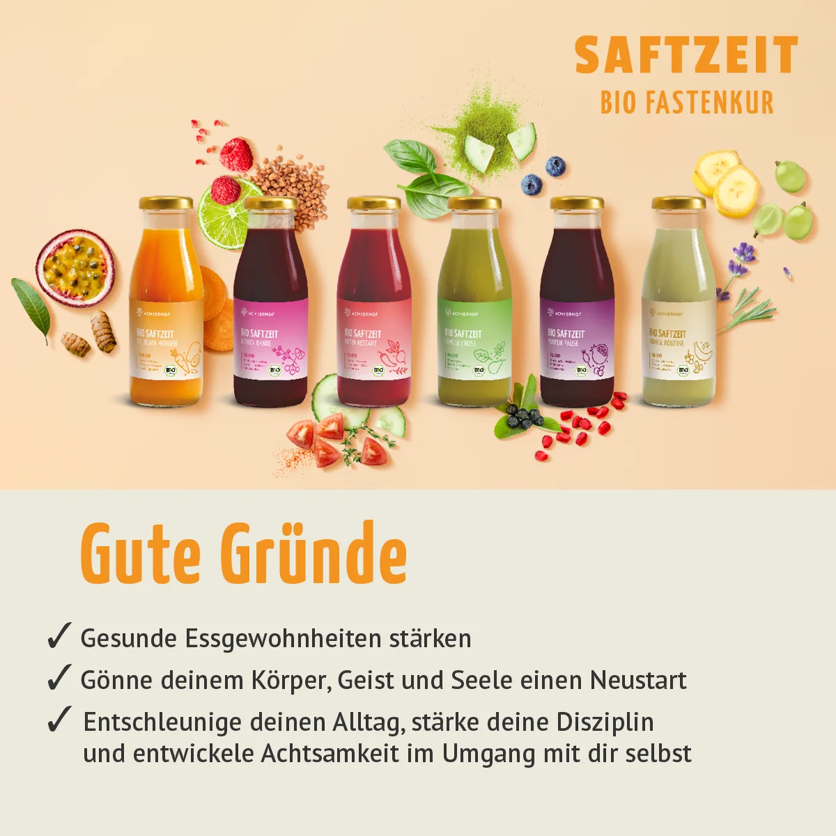 Fasten Mikronährstoff Paket – Bild 3